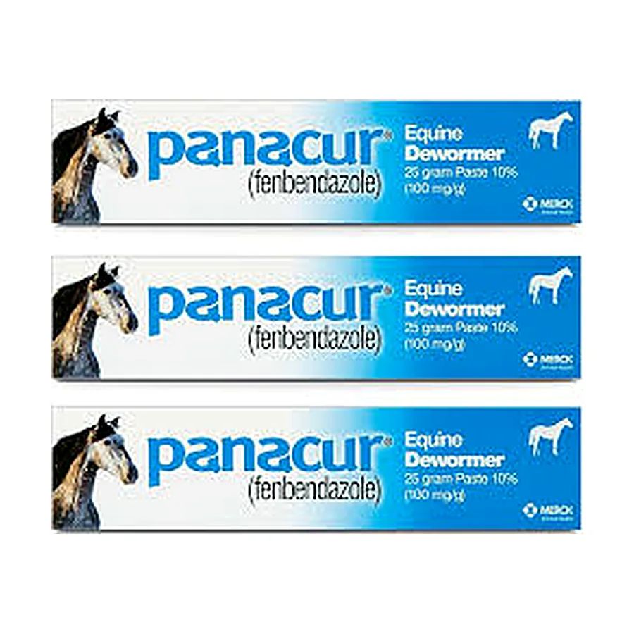 3 Pack Dewormer Horse Paste 10%, 100Mg Each
